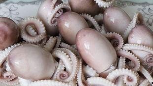 网红八爪鱼吃瓜爆料是真的吗,真相揭秘  第3张